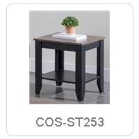 COS-ST253